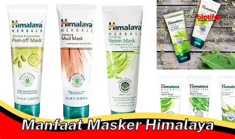 Temukan Rahasia Manfaat Masker Himalaya Yang Jarang Diketahui Biotifor