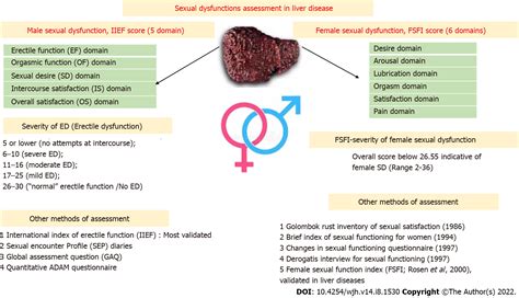 Sexual Dysfunctions And Their Treatment In Liver Diseases