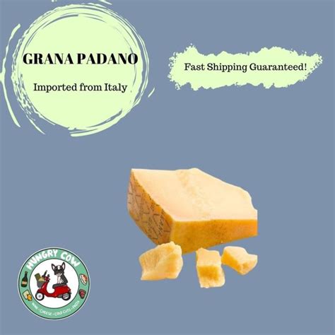 Grana Padano Parmesan 60g 125g 250g From Lazada PH