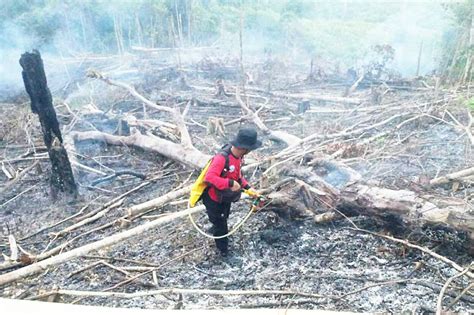 Waspada Ini Prediksi Bmkg Tentang Dampak El Nino Di Koran