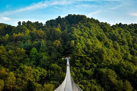 Hanging Bridge Nagarkot Nepal Landscape Nepal Hanging