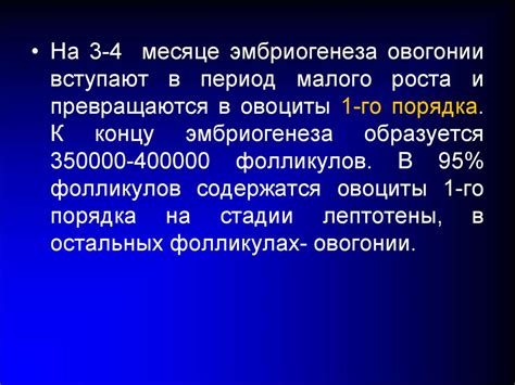 Женская половая система - online presentation