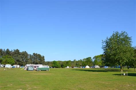 Forest Camping | Visit East of England