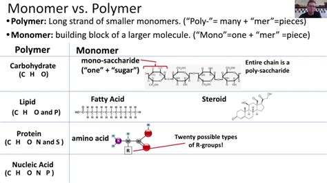 Carbohydrate Monomer And Polymer