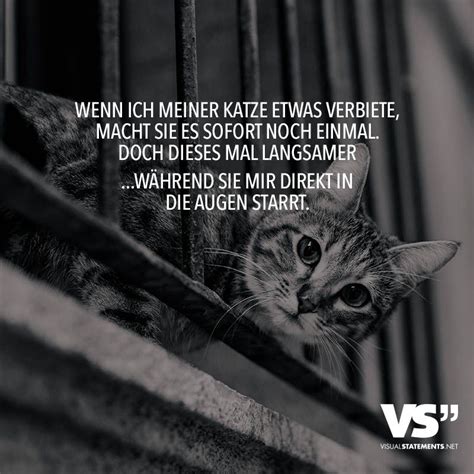 Wenn Ich Meiner Katze Etwas Verbiete Macht Sie Es Sofort Noch Einmal