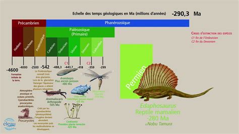 Echelle Des Temps G Ologiques De La Terre Youtube