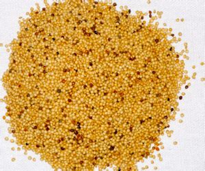 Health Benefits Of Amaranth Health Benefits