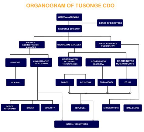 Community Organization Chart