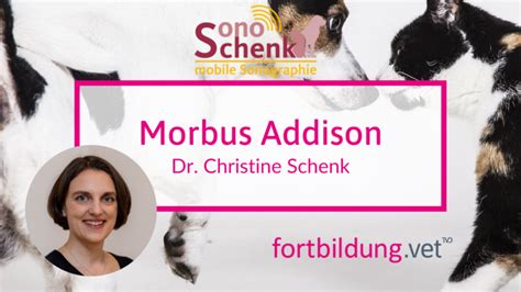 Morbus Addison fortbildung vet Fortbildung für Tierärzte TFA