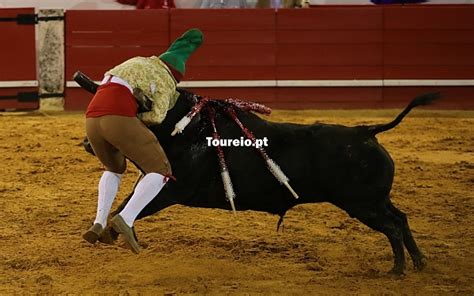 Esta Sexta Feira Houve Touros Em Estremoz Veja As Imagens Toureiopt