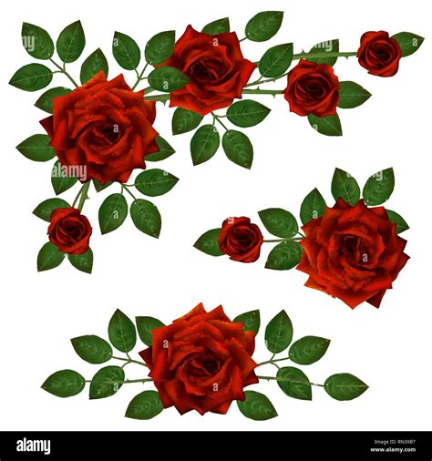 Conjunto De Hermosos Ramilletes Con Rosas Rojas Y Hojas Arreglo Floral Para La Decoración