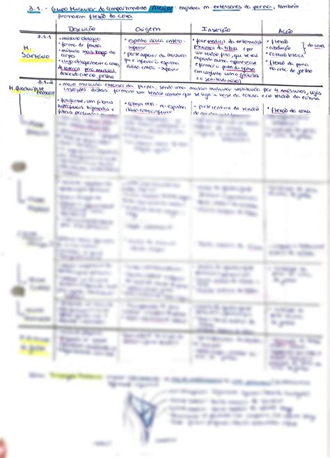 Solution Tabelas Resumo Anatomia Musculos Membro Inferior Studypool