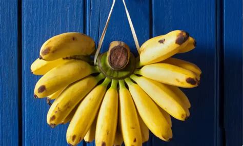Bananas and Body Weight: Can Bananas Make You Fat Or Slim?