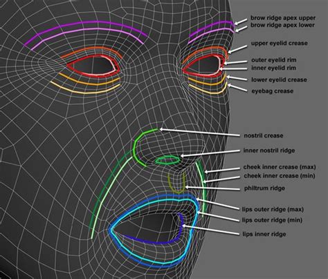 Pin On Topology