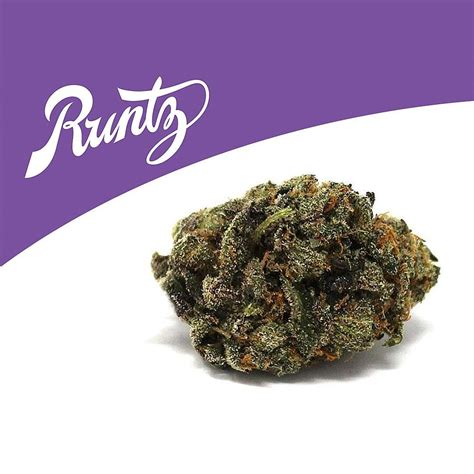 Runtz | Cookies - Jane