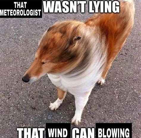 That Meteorologist Wasn T Lying That Wind Can Blowing She Wasn T