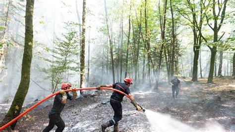 Incendie En Forêt De Brocéliande Le Feu Est Fixé Ce Dimanche Matin