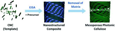 Cellulose Nanocrystals In Nanoarchitectonics Towards Photonic