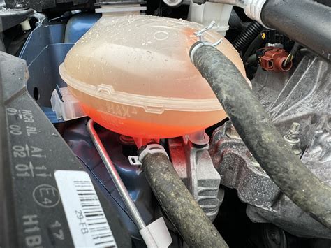 Coolant level | Fiesta ST Forums