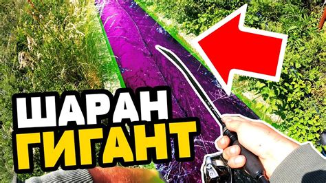 ШАРАН ГИГАНТ В КАНАЛ ЩЕШЕ ДА МИ СЧУПИ ВЪДИЦАТА!!! 10 МЯТАНИЯ 10 УДАРА ...