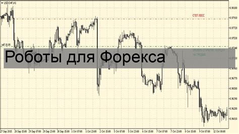 Гвоздика диантус — что это и как выращивать - YouTube