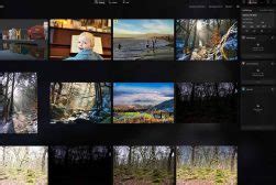 Skylum Luminar Guides For Photographers In 2023