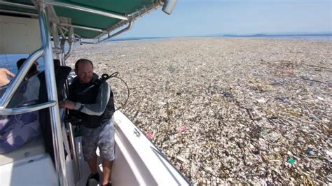 Imperialismo De La Basura Por Qué América Latina Se Ha Convertido En