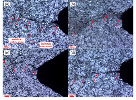 Thermal Fatigue Crack Morphology For Samples 4 1 And 4 2 After 290