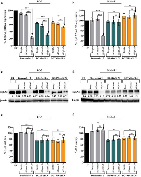 Gene Silencing Efficiency And Cytotoxicity Of Siepha Complexes In