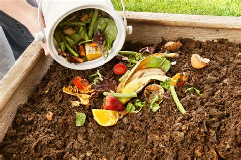 Waste management : How Does The Composting Process Work?