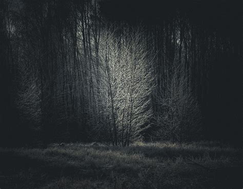 Smithy Behance