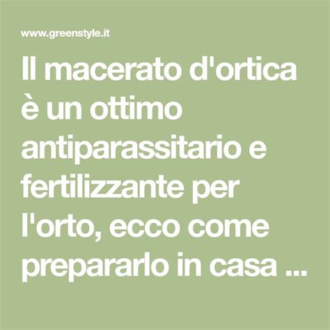 Il Macerato D Ortica Un Ottimo Antiparassitario E Fertilizzante Per L