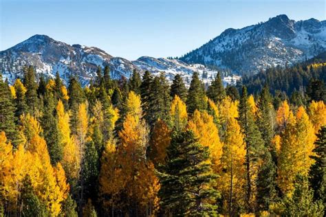 A Beacon of Hope in History - Hope Valley - Visit Lake Tahoe