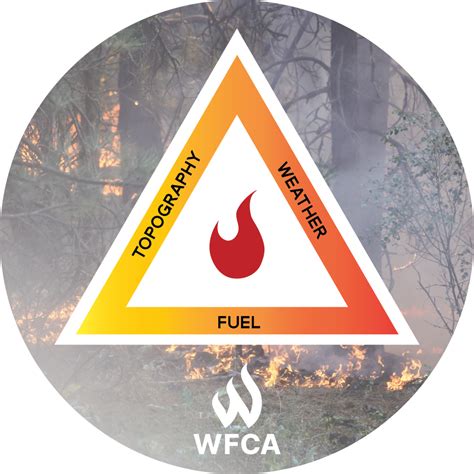 How Do Wildfires Stop Naturally WFCA