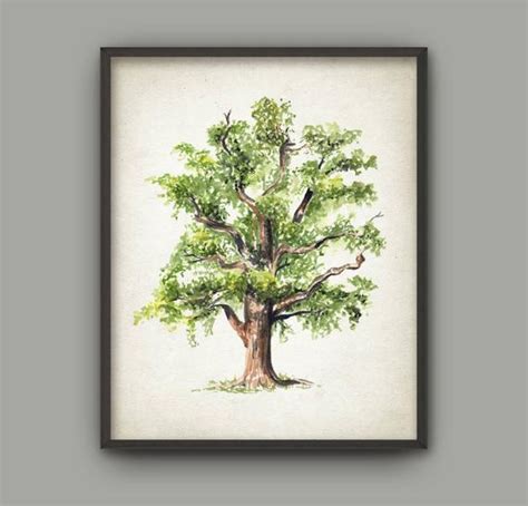 Watercolor Oak Tree At Getdrawings Free Download