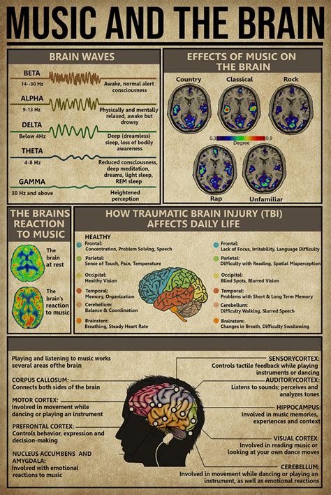 Music And The Brain Knowledge Poster Vintage Poster Effects Of Music