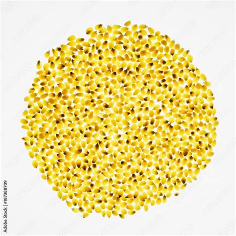 Popcorn kernels on white backdrop Stock Photo | Adobe Stock