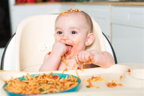 BLW Conociendo el método Baby Led Weaning REDPISO NEWS