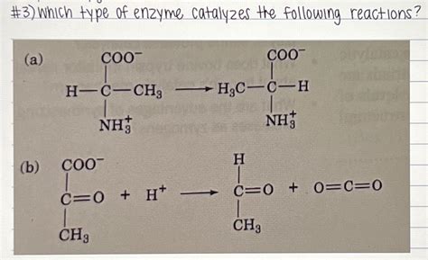 Solved Which Type Of Enzyme Catalyzes The Following Chegg