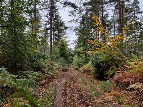 Public Bridleway Through The Million Mat Fascione Cc By Sa 2 0