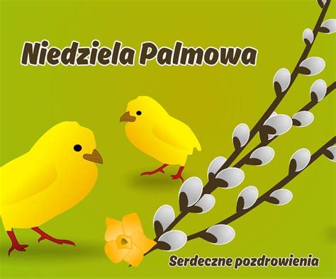 Kiedy Jest Niedziela Palmowa I Co Symbolizuje Data Czytania