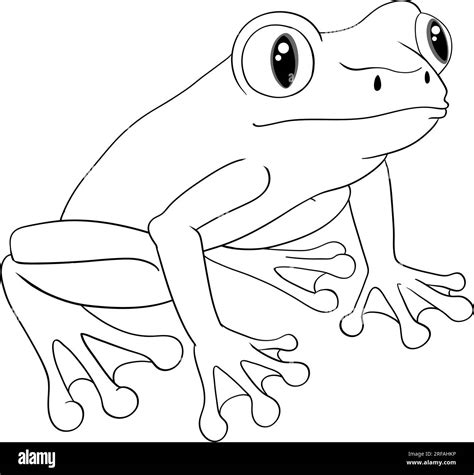 A Vector Cartoon Illustration Of An Outline Frog Isolated On A White