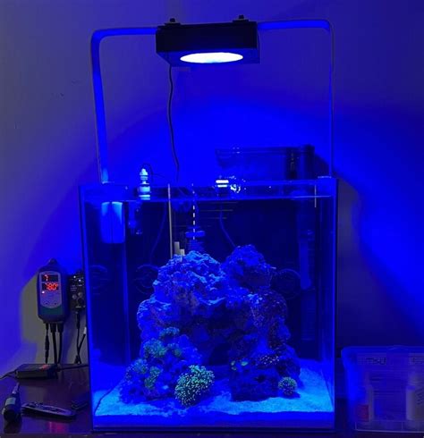 My Aqueon G Cube Nano Reef Journals Nano Reef Community