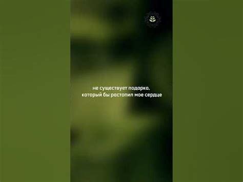 Дарите женщинам гортензии!🌸 Популярные сорта растений в ТГ: Питомник ...