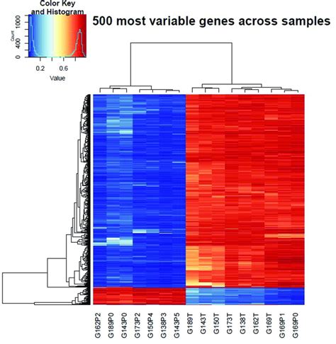 3 Heat Map Of 500 Most Variable Genes Of Paired Tissue And Cell Line