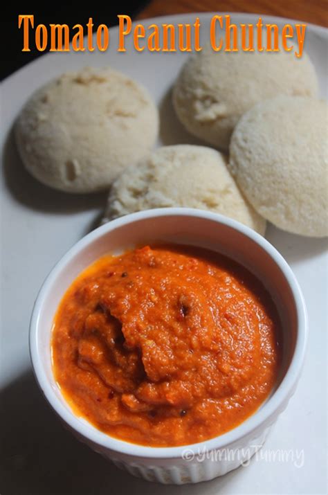 Tomato Peanut Chutney Recipe Andhra Palli Chutney Recipe Yummy Tummy