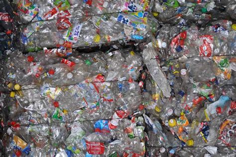 Poziomy recyklingu osiągnięte w Krakowie Sozosfera ochrona środowiska