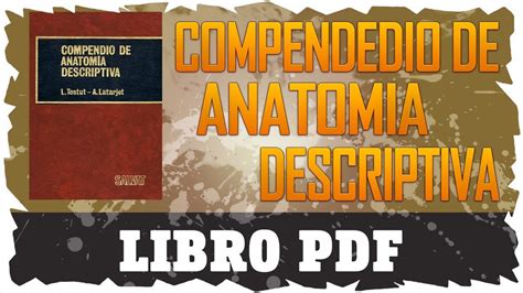 COMPENDIO DE ANATOMIA DESCRIPTIVA TESTUT LATARJET LIBRO PDF YouTube