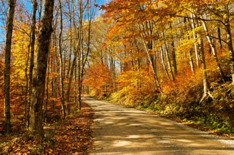 Autumn Lane | Photos of Vermont