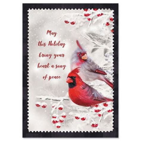 Usa Made Winter Cardinal Christmas Cards Set Box Of 18 5x7 Inch